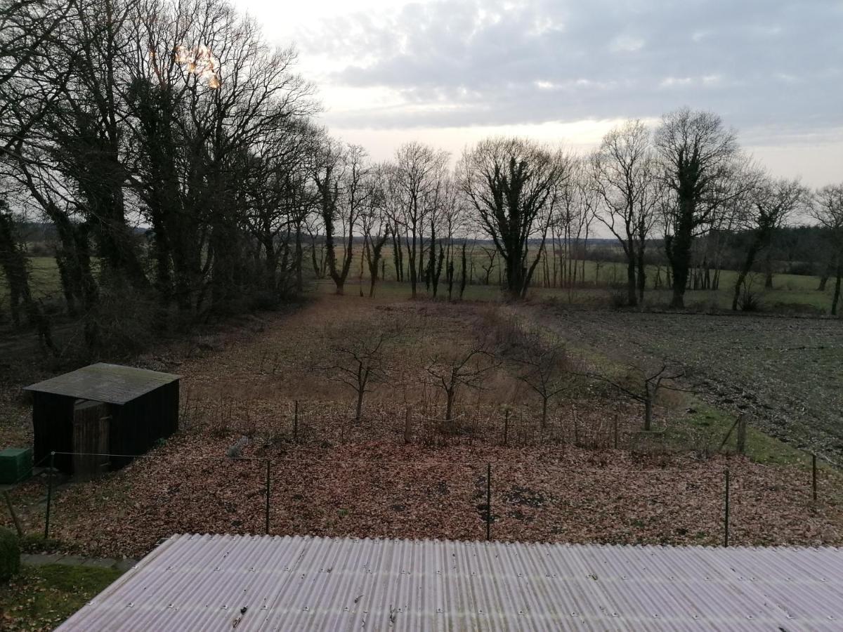 Ferienwohnung Wiesenweg Бад Бедеркеза Екстериор снимка